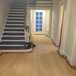 Bright foyer with wooden floors, blue staircase on left, glass door entrance ahead, white walls and trim